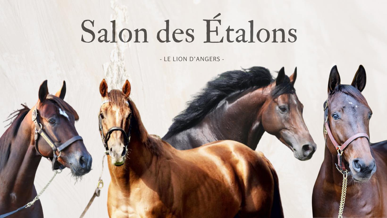 SALON DES ETALONS – 14 JANVIER 2023