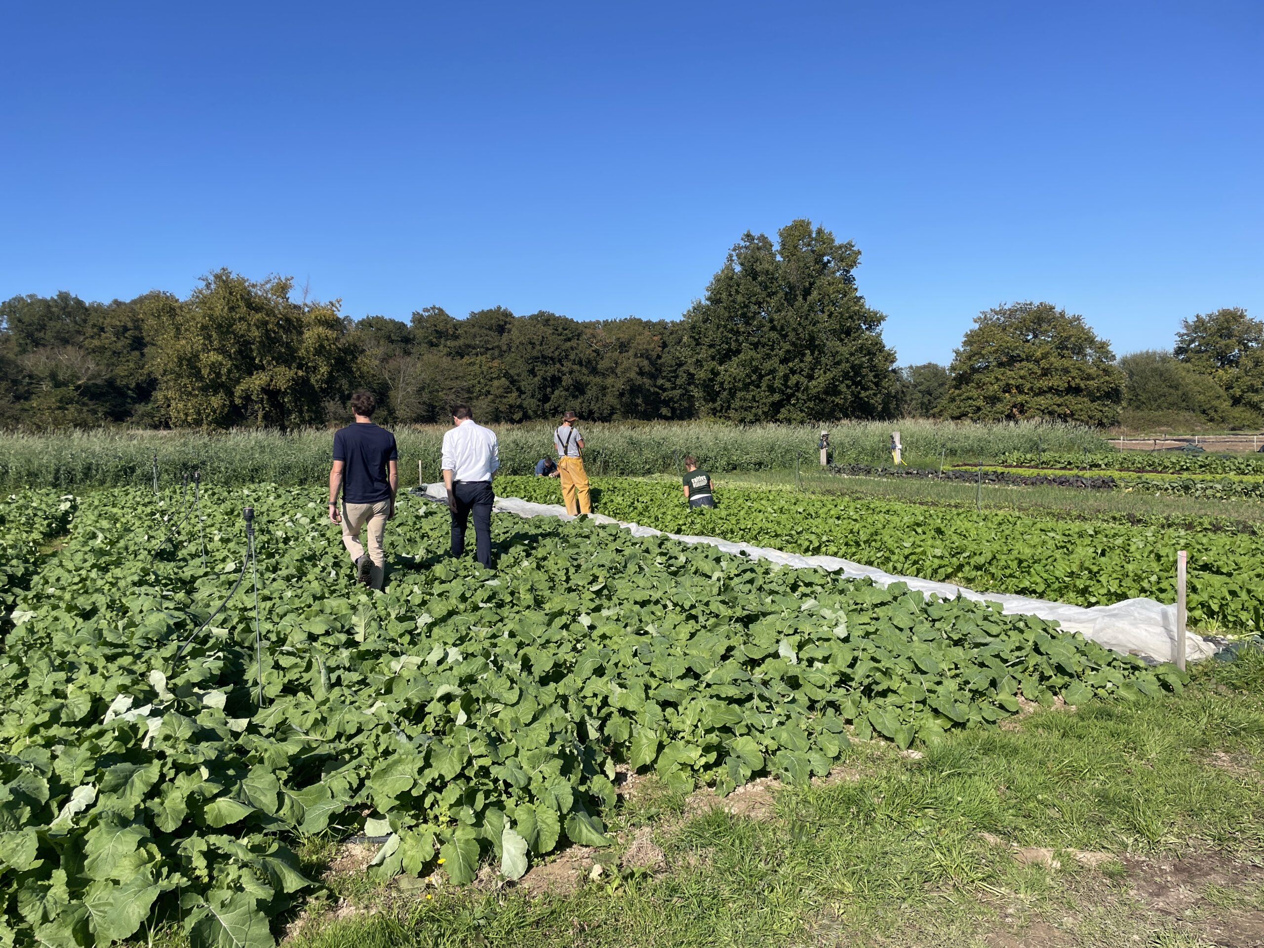 SAFER et FEVE, partenaires clés du projet CULTIVE à la Ferme du Mesnil